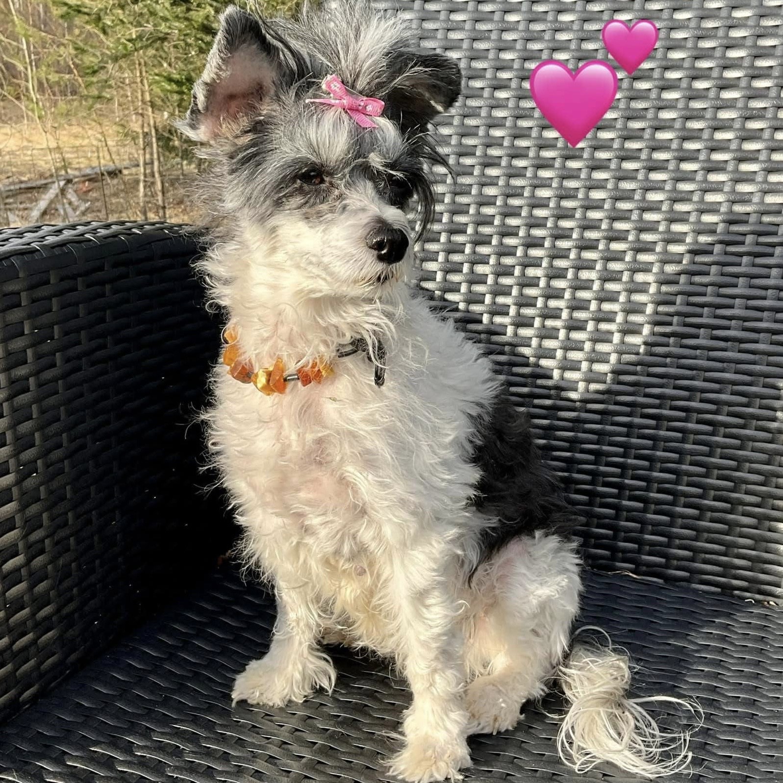 Fiona
